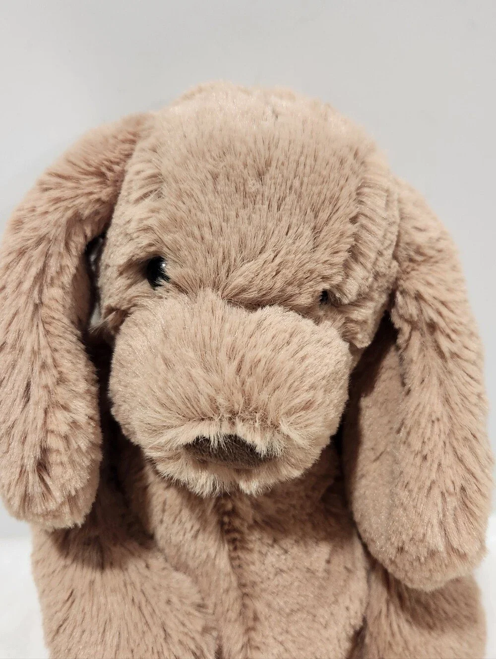 Jellycat Tan Bashful Toffee Puppy Medium Collectible Plushie Stuffie